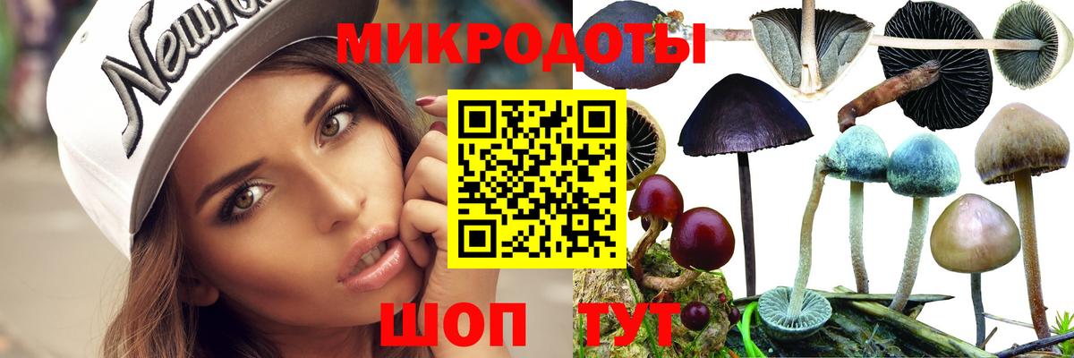 Псилоцибиновые грибы мицелий Пугачёв
